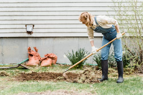 How to get your garden summer ready