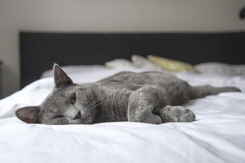 How to Create a Relaxing Bedroom for Better Sleep