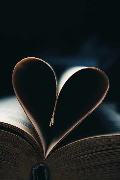The Best Dark Romance Novels You Won’t Be Able to Put Down