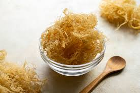 The Complete Guide to Sea Moss and Its Health Benefits