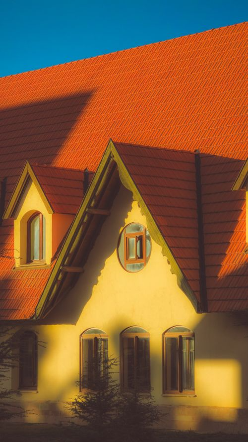 Daily Household Jobs You Should Be Doing for a Clean and Stress-Free Home