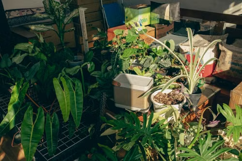 10 Simple Ways to Make Your Home Feel More Relaxing